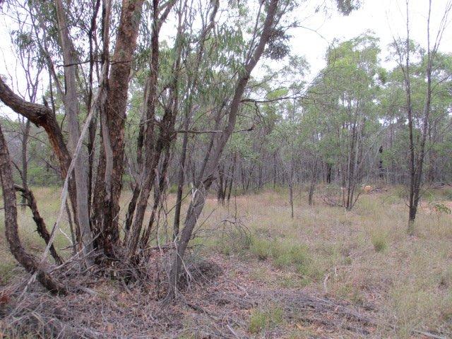 Peace and Solitude on this 32.83 acre property
