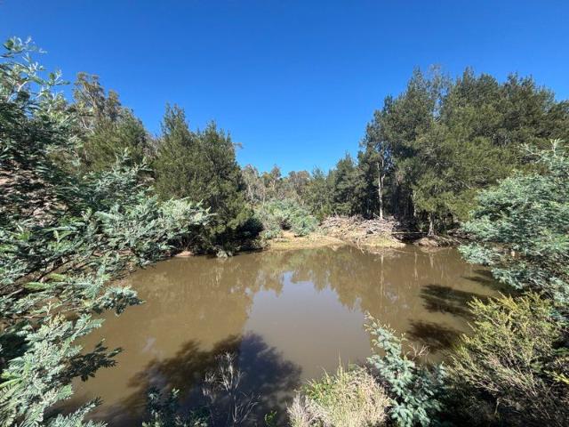 Peace and Privacy on the banks of the Abercrombie River