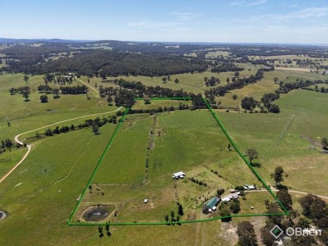 Alpaca Country! Lifestyle, Charm and Income Potential