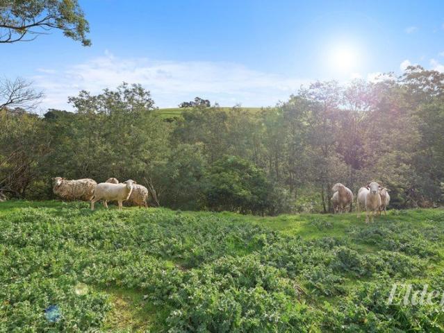 Peace, Privacy & Potential on 5.67 Acres