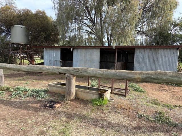 Peaceful 10 Acre Rural Escape