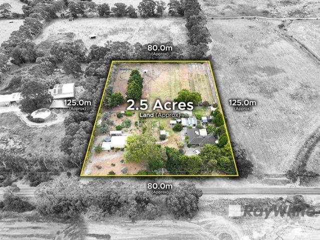 Peaceful Acreage in Scenic Devon Meadows
