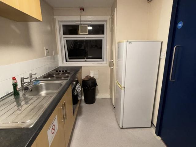 Peaceful and Spacious studio Available!