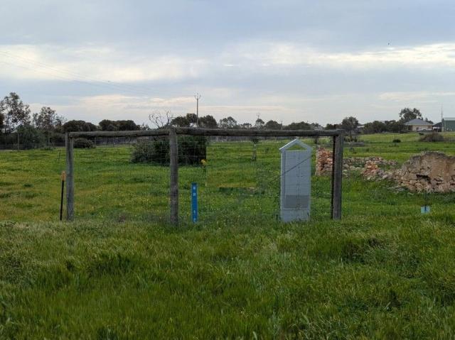 Peaceful and private large vacant block in Moonta