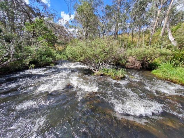 Peaceful Bush Sanctuary