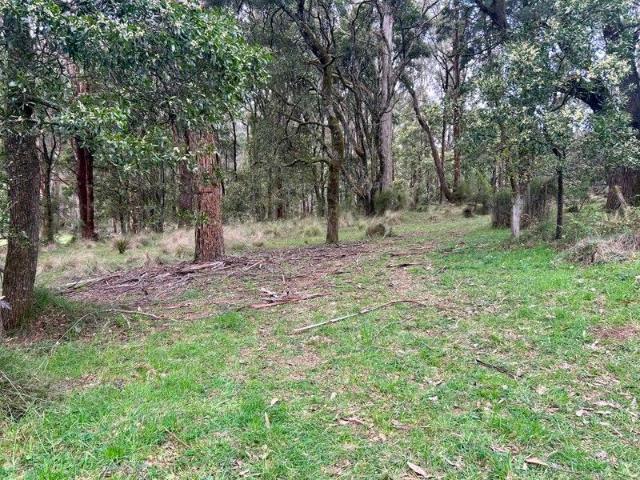 Peaceful Township Block on 2000sqm Price reduction. Fabulous Block