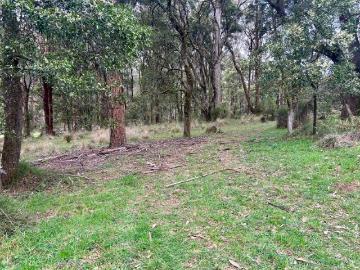 Peaceful Township Block on 2000sqm Price reduction. Fabulous Block