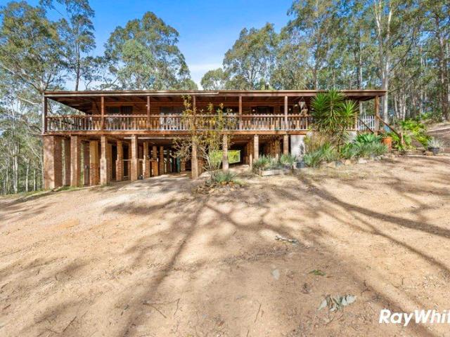 Peaceful Bushland Rental with Warm Timber Character