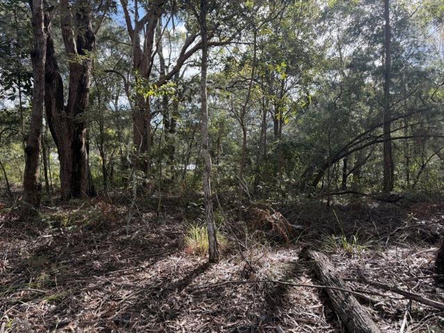 Peaceful Bushland Setting with Future Potential