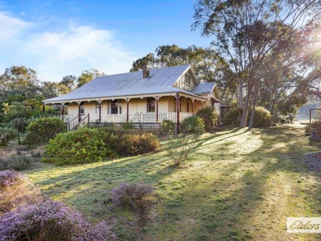 Peaceful Country Living on 40 Acres