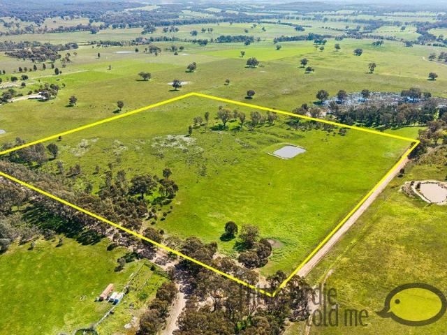 Peaceful Country Living on 40 acres, with Space to Grow