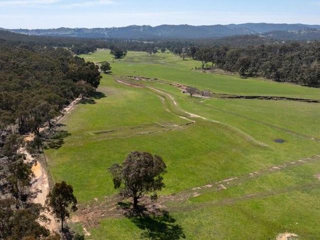 Peaceful Country Retreat Opportunity, 4.46 Freehold Acres