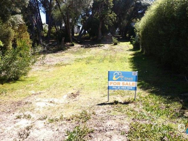 PEACEFUL COURT LOCATION, WALK TO LAKE VICTORIA!