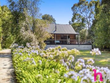Peaceful Forrest Living on a Spacious Half Acre Block
