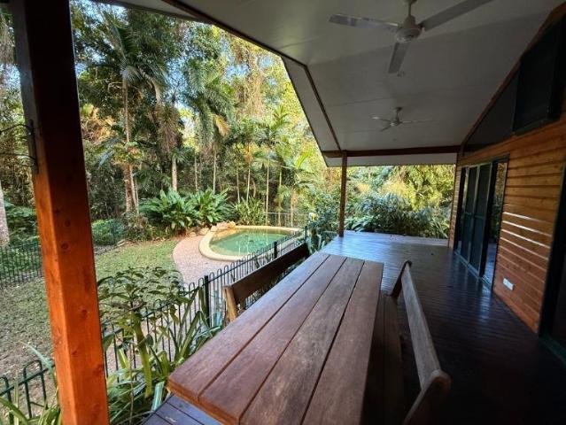 Peaceful Home Surrounded by the Rainforest!
