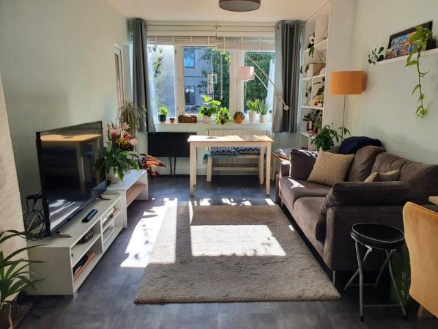 Peaceful large flat in Zone 1 [SUBLET 23/10 8/11]