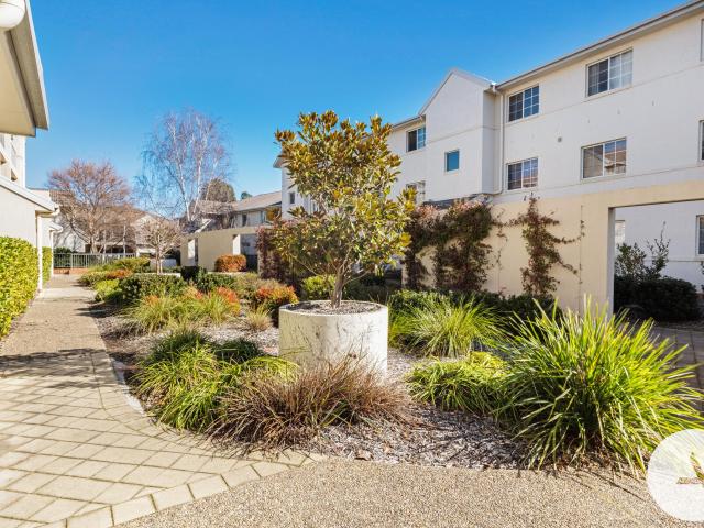 Peaceful, Leafy and Quiet Ground level Spacious Apartment perfect for investors!