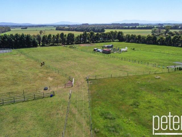 Peaceful Lifestyle Block in Sought After Area