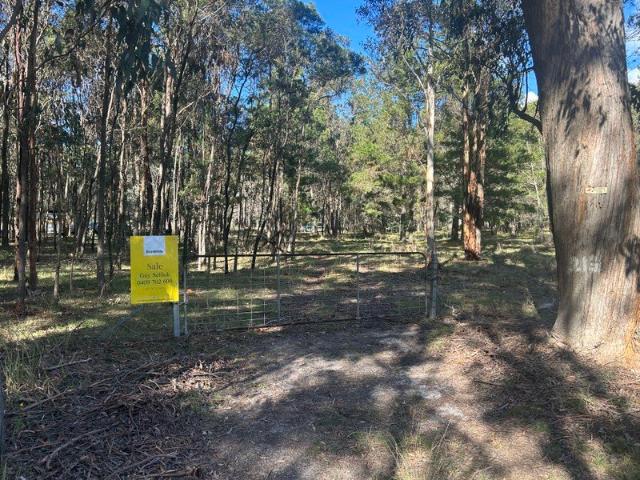 Peaceful Lifestyle Opportunity
