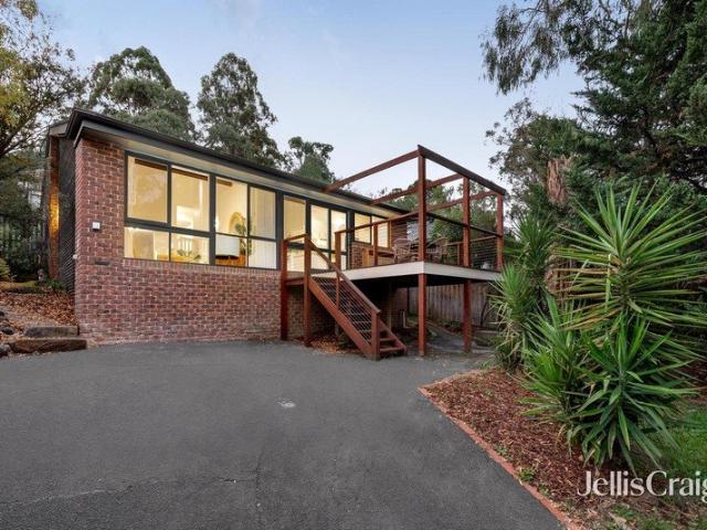 Peaceful living among the treetops