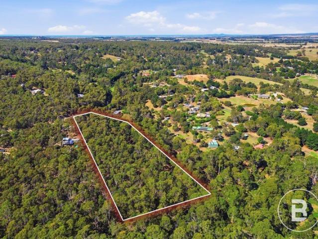 Peaceful Native Retreat with Endless Potential