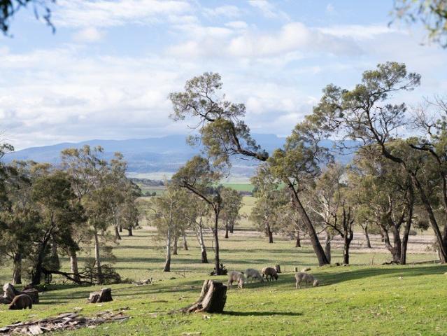Peaceful outlook over rolling mountains and living spaces that capture beautiful sunlight the ideal family home on acerage