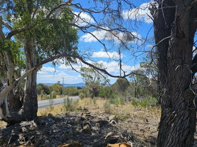 Peaceful pocket of land