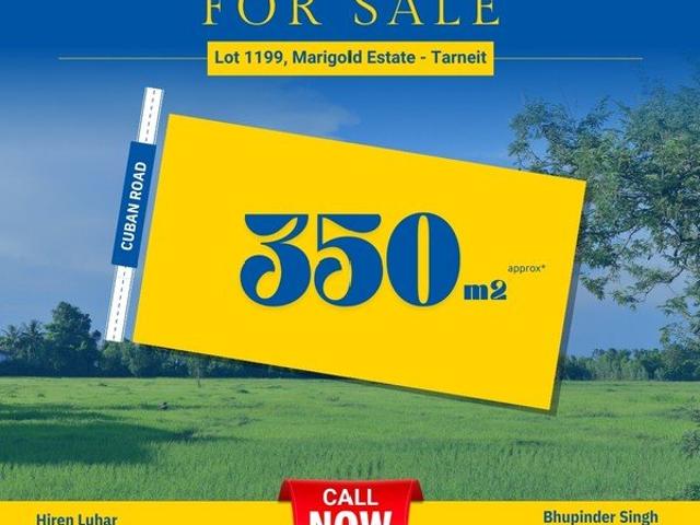 Peaceful Residential Plot Ready for Development