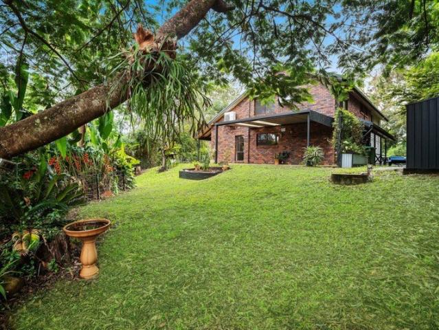Peaceful Retreat in Reedy Creek