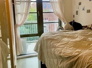 Flatbush, New York city, New York, USA