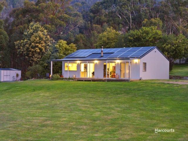 Peaceful, Sustainable Living