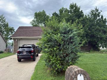 Peach Tree St