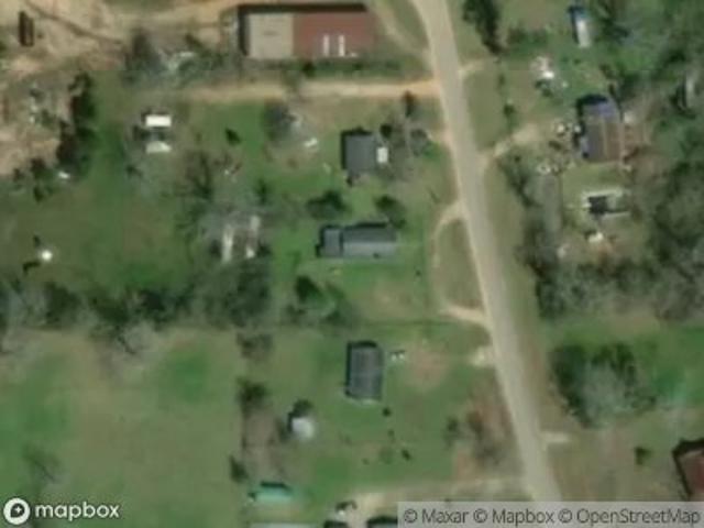 Pecan Leaf Ln
