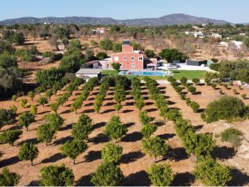 Pechão: Propriedade de Exceção 5 quartos piscina com terreno de 1 hectare com árvores frutíferas