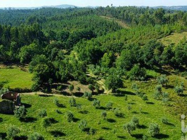 Pedrogao Grande Leiria 105399282