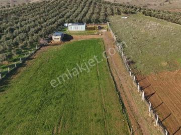 Pek Emlaktan 9300 M2 Tek Satılık Müstakil Ev Ve Arazi