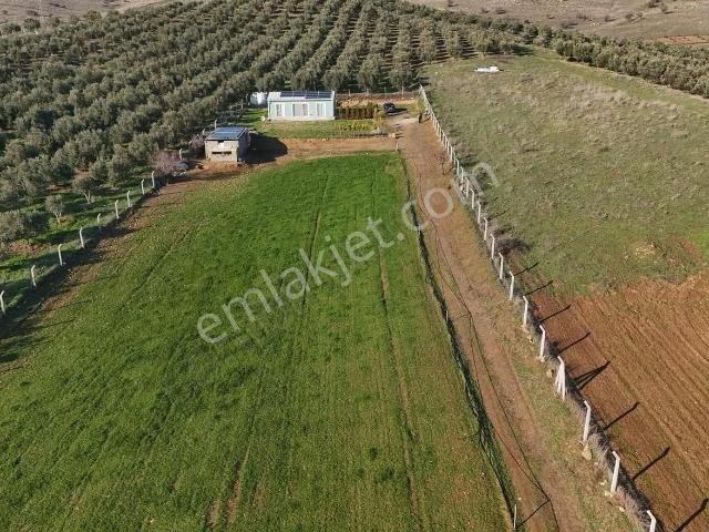 Pek Emlaktan 9300 M2 Tek Satılık Müstakil Ev Ve Arazi