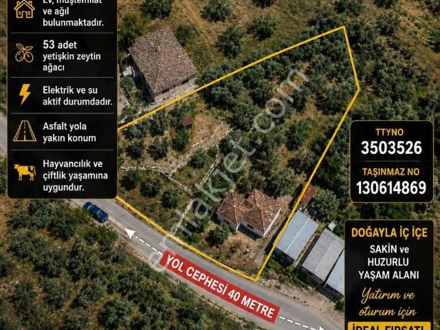 Pek Emlaktan Ayaklıkırı Nda 1225 M2 Satılık Müstakil Ev
