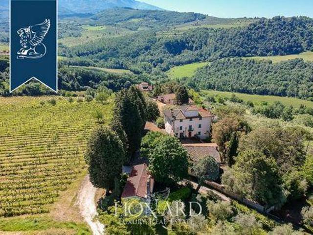 Pelago Firenze 96330818