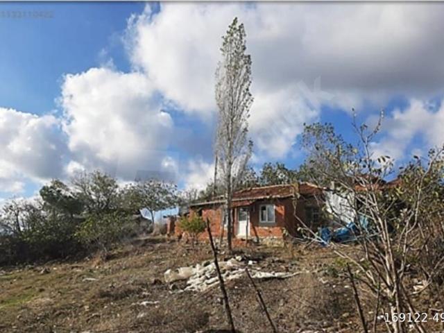 PELİTCİK 930 M2 İÇİNDE TAŞ EVİ TEK TAPU DOĞANIN İÇİNDE YATIRIM.