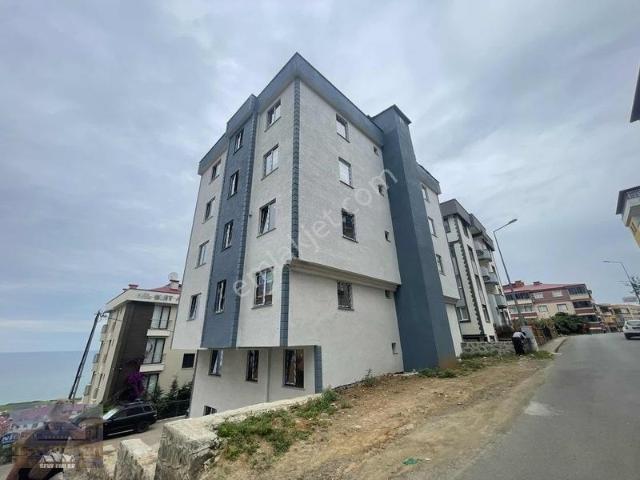 Pelitli'de Kiralık 2+1 Sıfır Daire