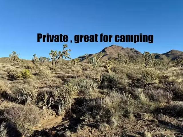 Pellet Dr, Dolan Springs, AZ 86441 MLS 036654