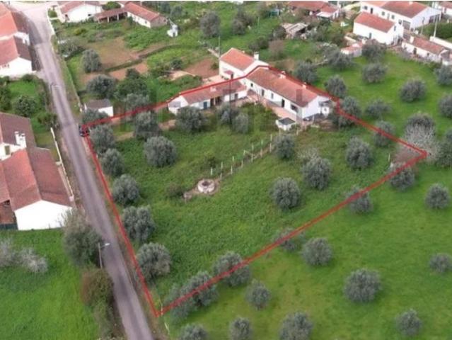 Pequena Quinta T2 na Ribeira do Seissal Colos O Refúgio Perfeito no Alentejo