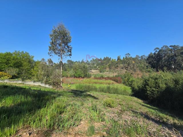 Pequena quinta com viabilidade de Construção Águeda