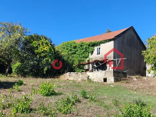 Pequena quintinha em zona tranquila!
