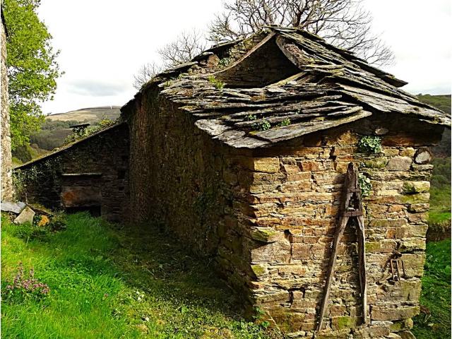 Pequeña casa en un entorno natural idílico, en Muras, a 200 metros del río Eume. Requiere rehabilitación integral