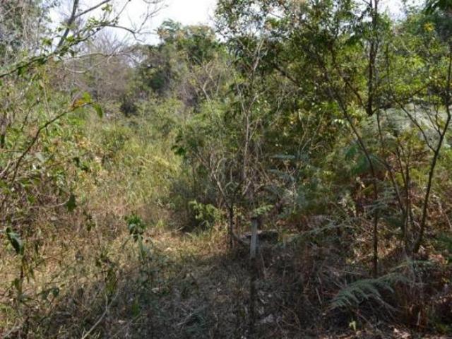 Perto da Natureza 3 lotes