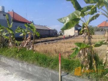 Perumahan Baru Dan Kavling Batubulan