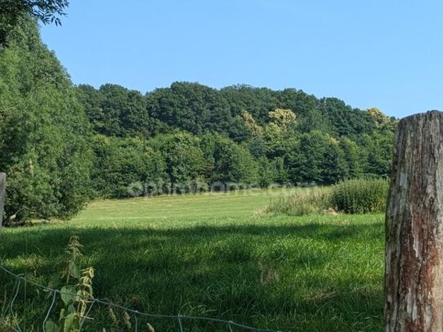 Perche sarthois Longère dépendances sur 11 hectares 135m² Avezé