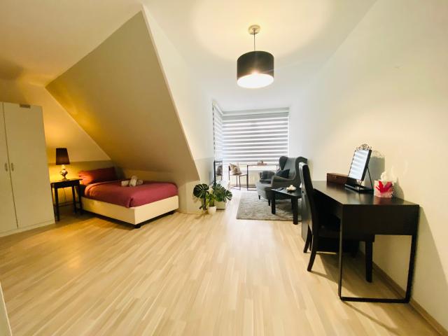 Perfect & amazing full furnished apartment